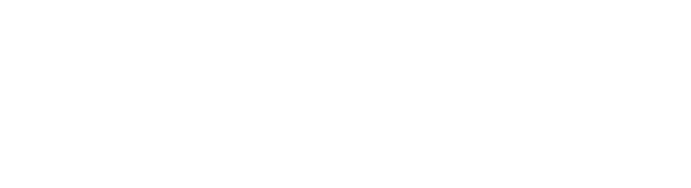 disclaimer italy